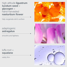 Load image into Gallery viewer, Phyto Nature Oxygen Cream