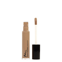 Load image into Gallery viewer, Velvet radiance concealer