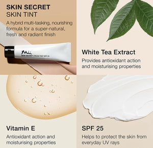 Skin Secret Cream Tint SPF25